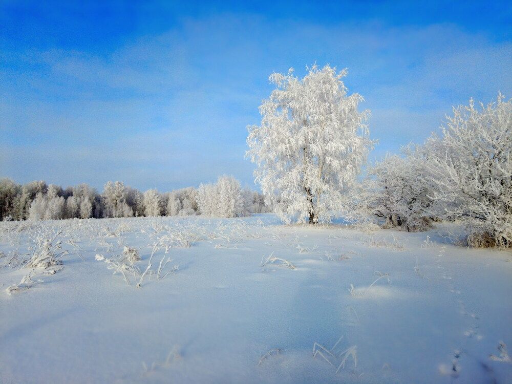 Photograph by Андрей Акентьев