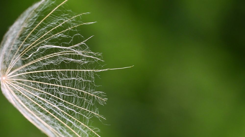 Photograph by Владимир Лобанов