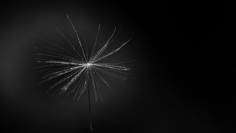 Photograph by Наталья Лобанова