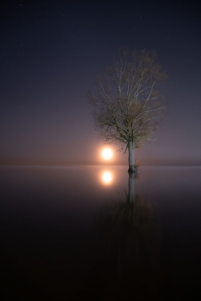 Photograph by Александр Парамонов