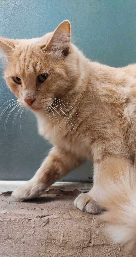 Photograph by Gulustan Aliyeva