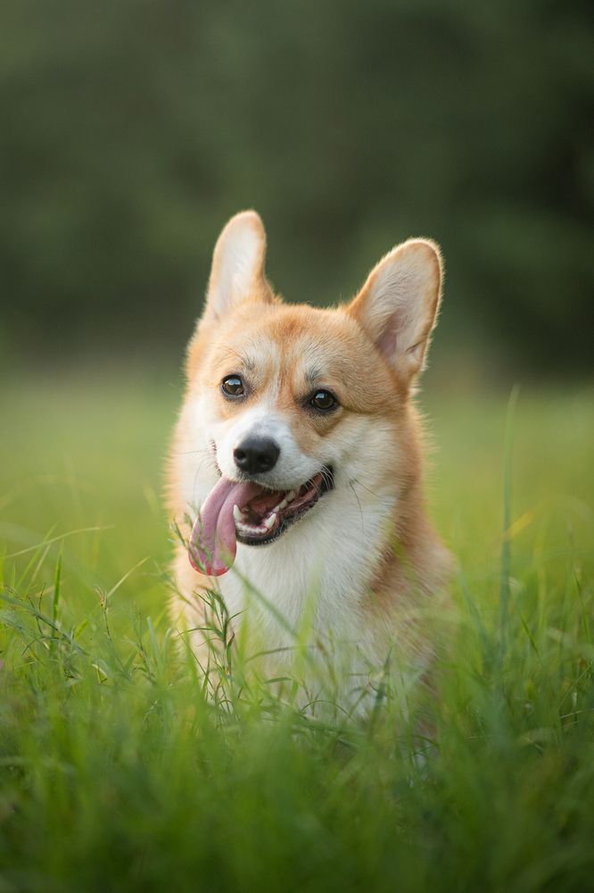 Photograph by Анна Абрамова