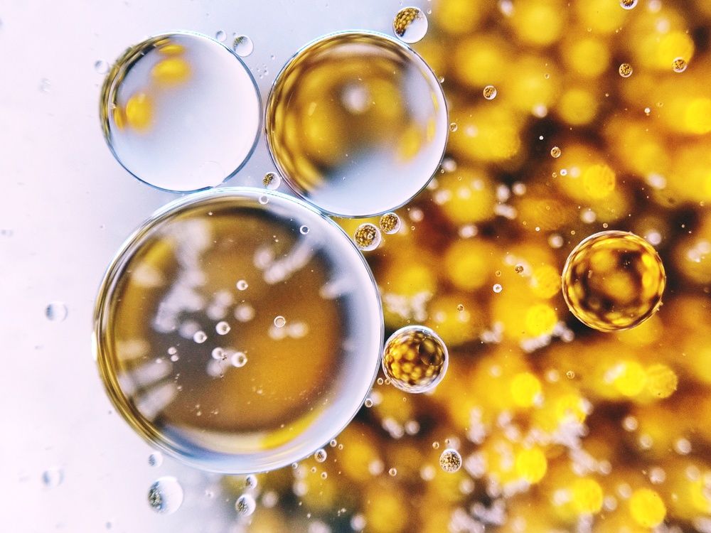 Фотография автора Мария Александрова