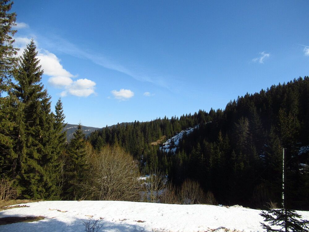 Photograph by Nermina Selmanovic