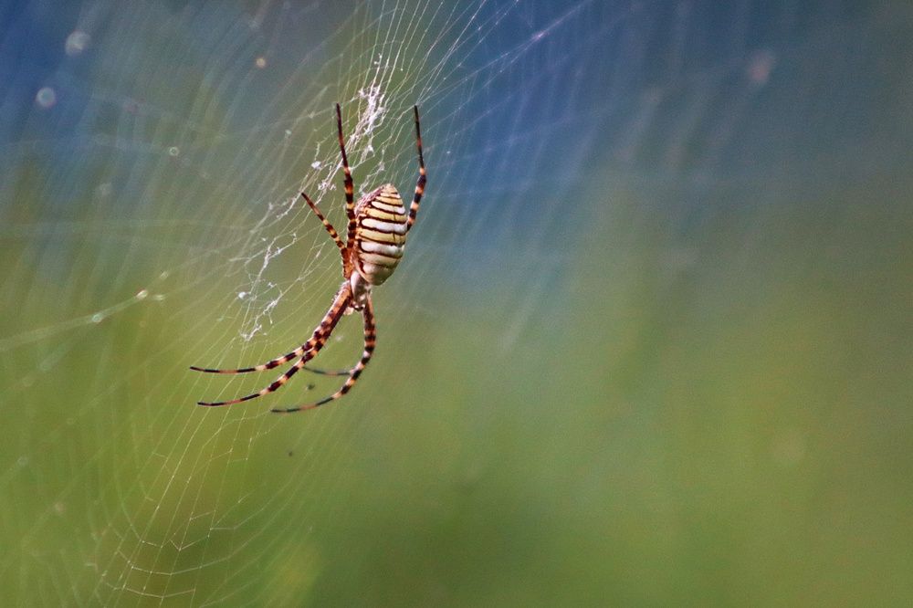 Photograph by Donka Vladimirova