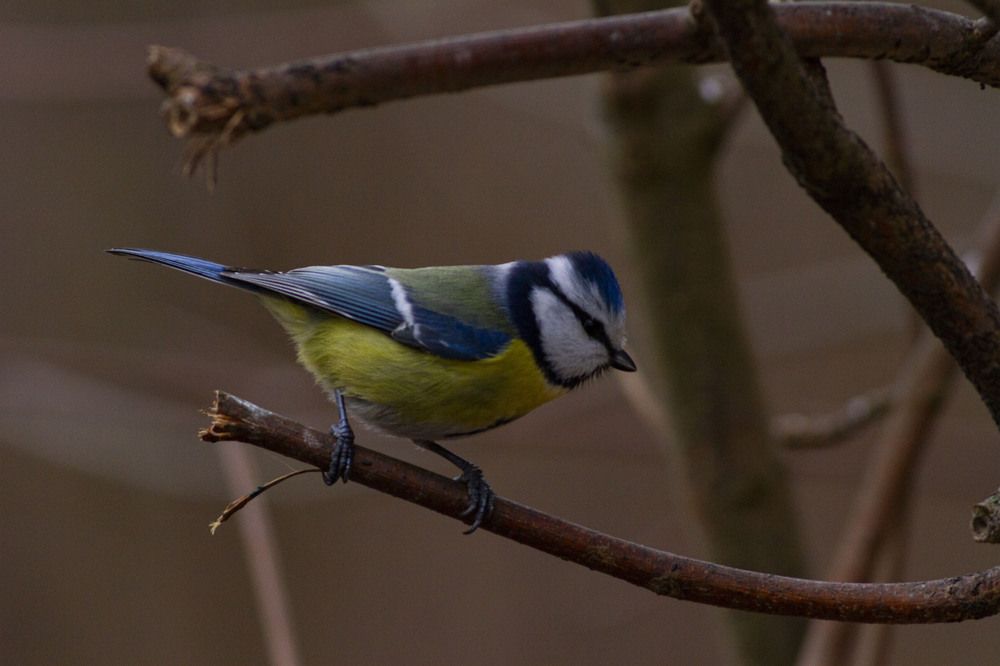 Photograph by Капанов Владислав