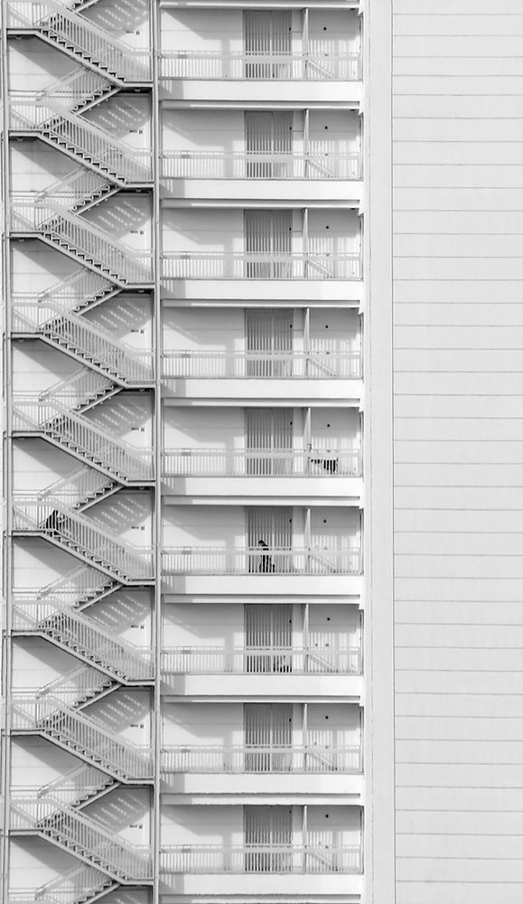 Фотография автора Seyede Elahe GHasemi