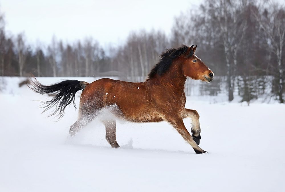 Photograph by Галина Щурова