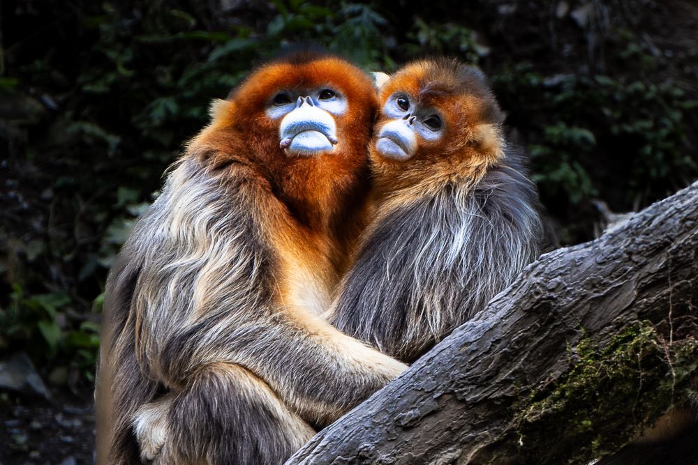 Photograph by Марина Маликова