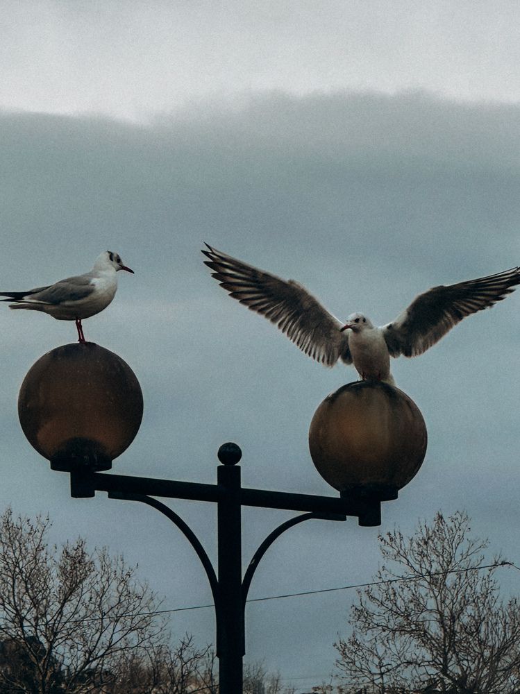 Photograph by Анастасия Короленко