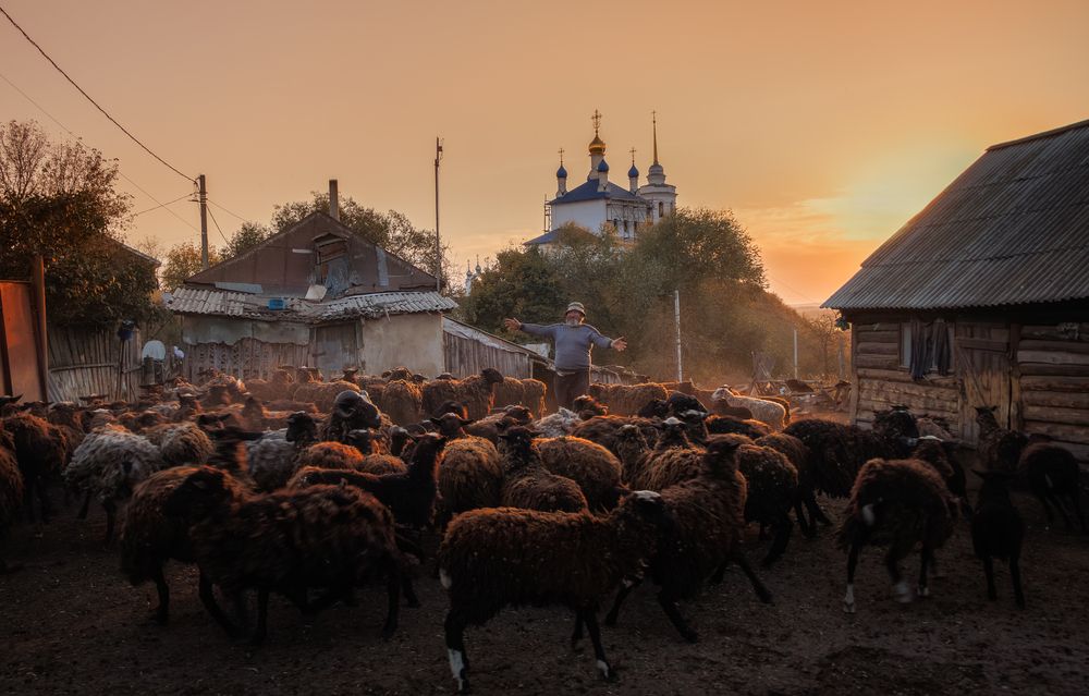 Фотография автора Гарбузов Илья