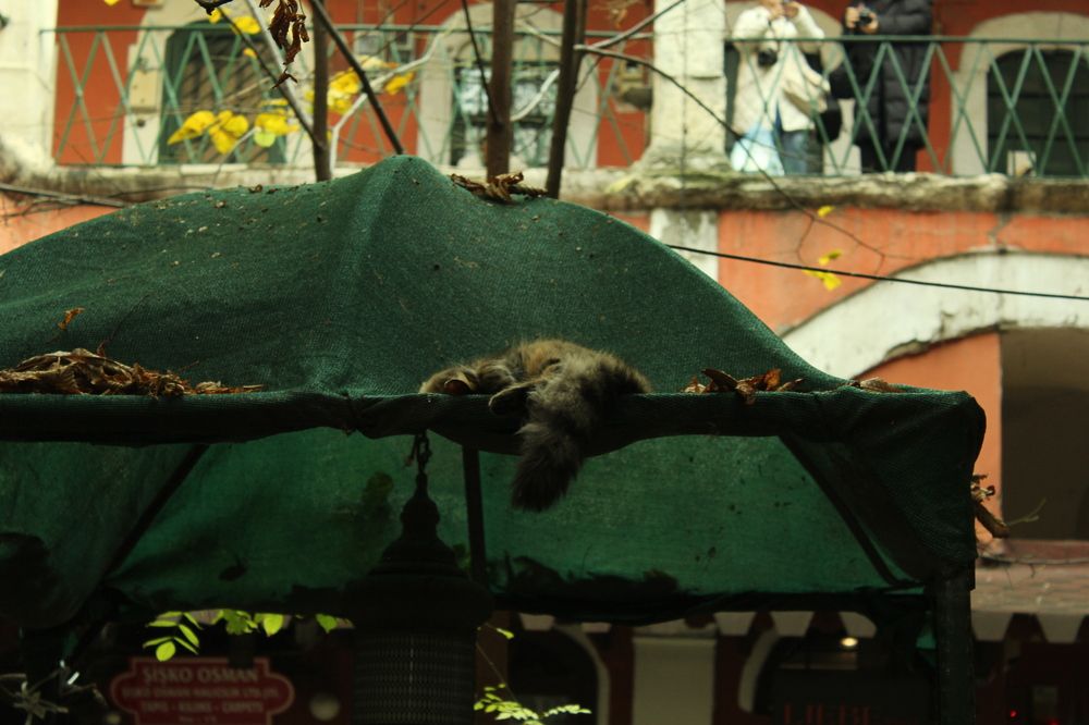 Photograph by Hatice Karaca