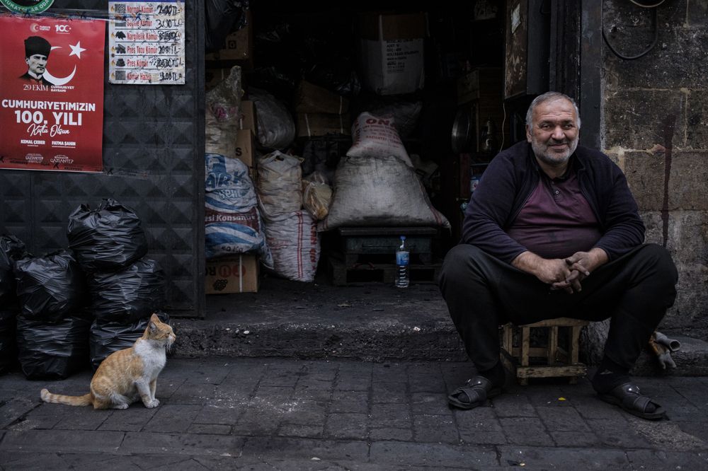 Фотография автора Alex Belov