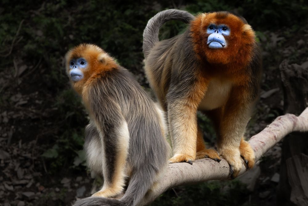 Photograph by Марина Маликова