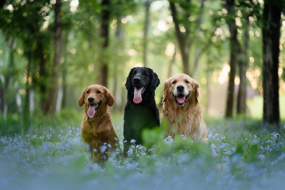 Photograph by Анна Абрамова