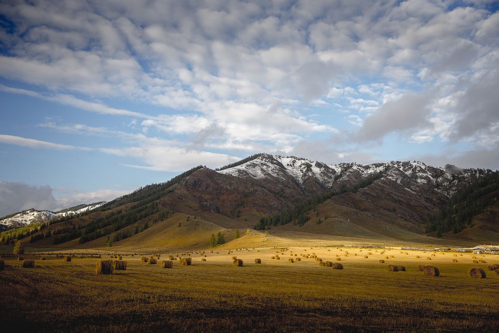 Photograph by Корнеевец Мария