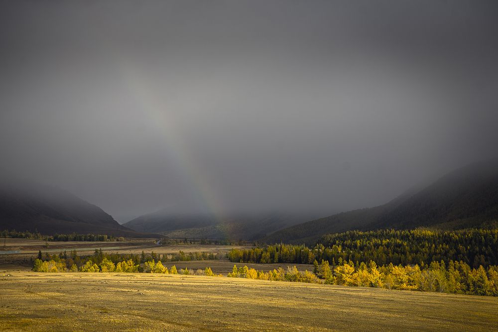 Photograph by Корнеевец Мария