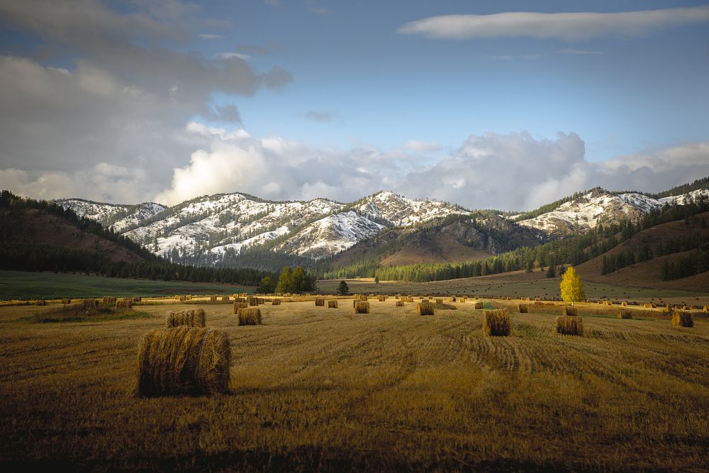 Photograph by Корнеевец Мария