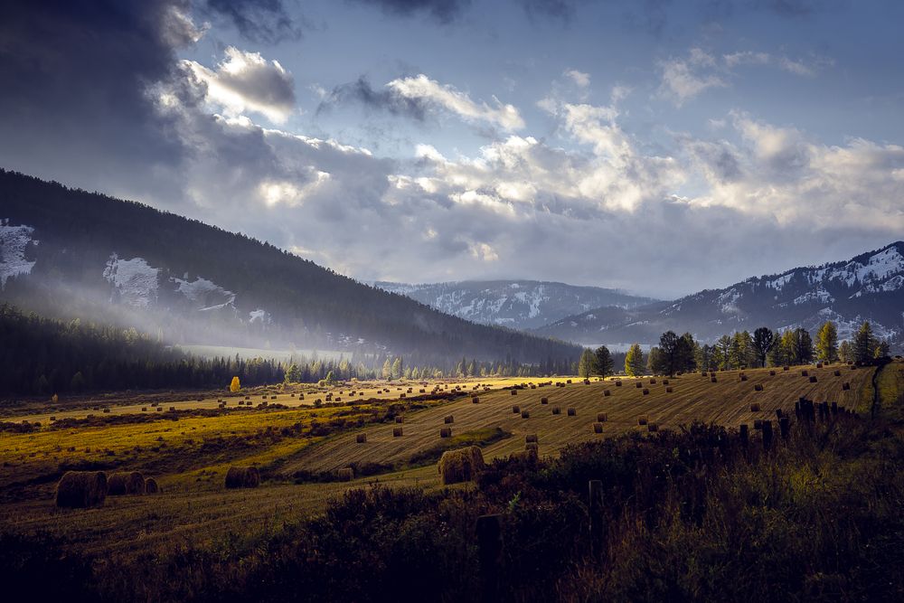 Photograph by Корнеевец Мария