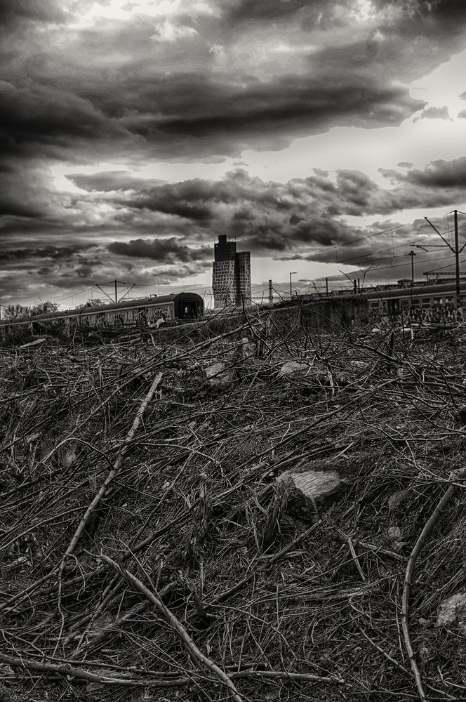 Фотография автора Milan Junek