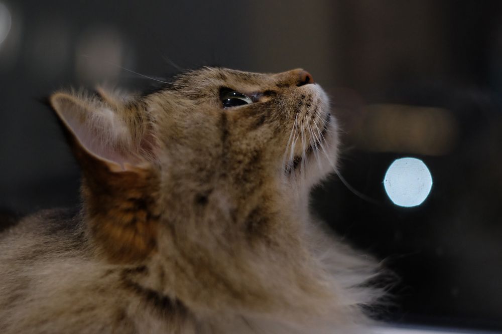 Photograph by Вадим Зрюев