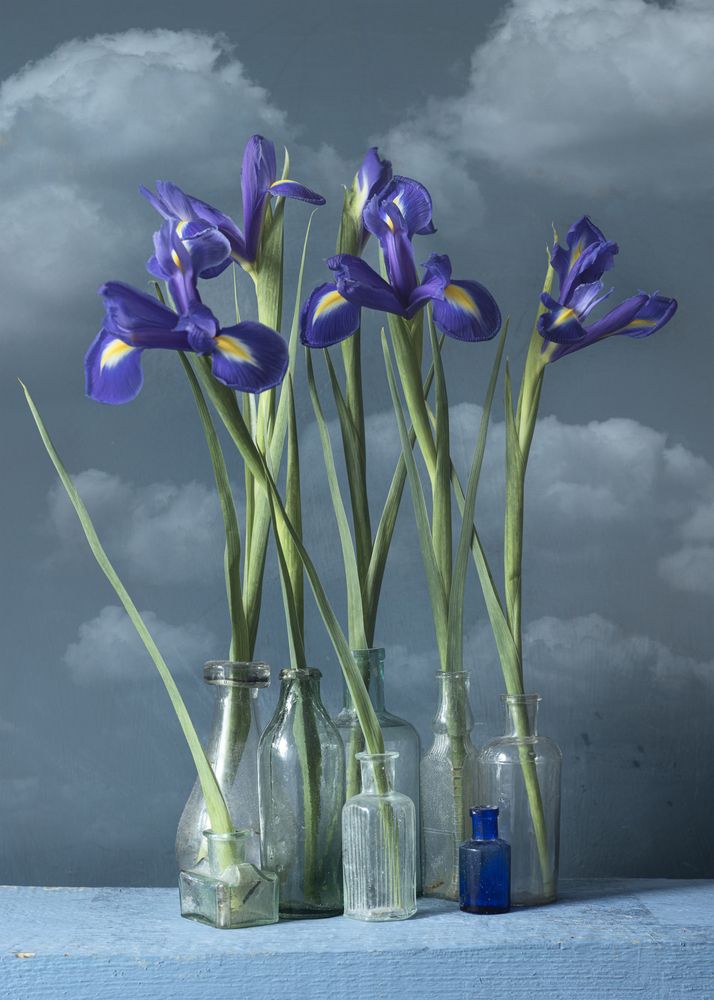 Фотография автора Julia Vikhrova