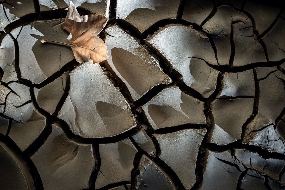 Фотография автора Karim Shokair