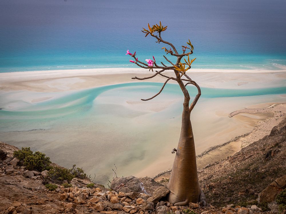 Photograph by Марина Маликова