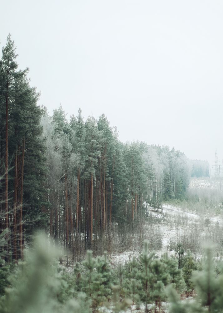 Photograph by Angelina Karelina