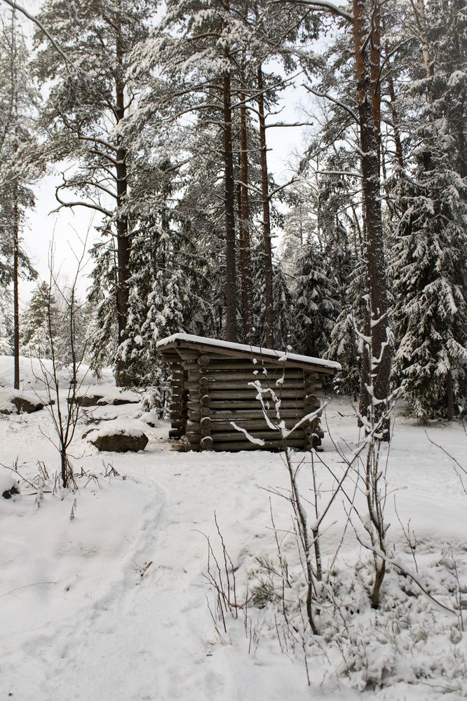 Photograph by Irina Stroh