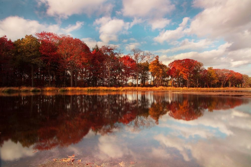 Photograph by Saeed Erfany