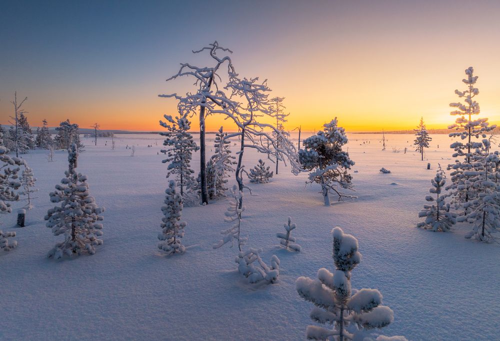 Морозный рассвет на Имандре