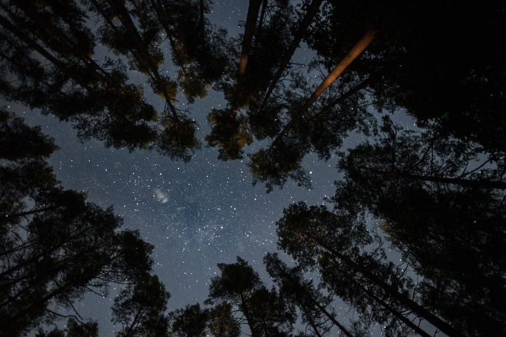 Фотография автора Григорьев Алексей