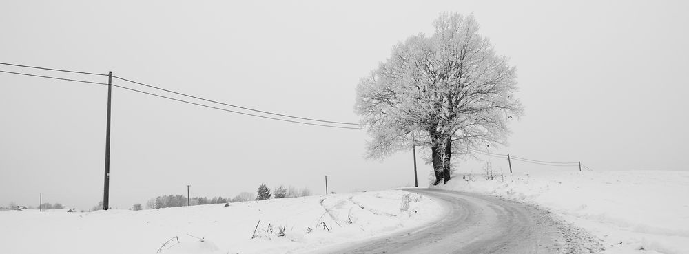 Photograph by Tomasz Dunajski