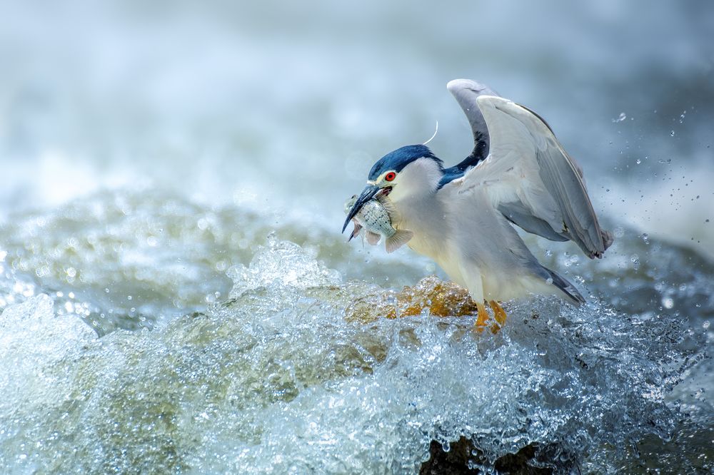 Фотография автора sherif Abdallah