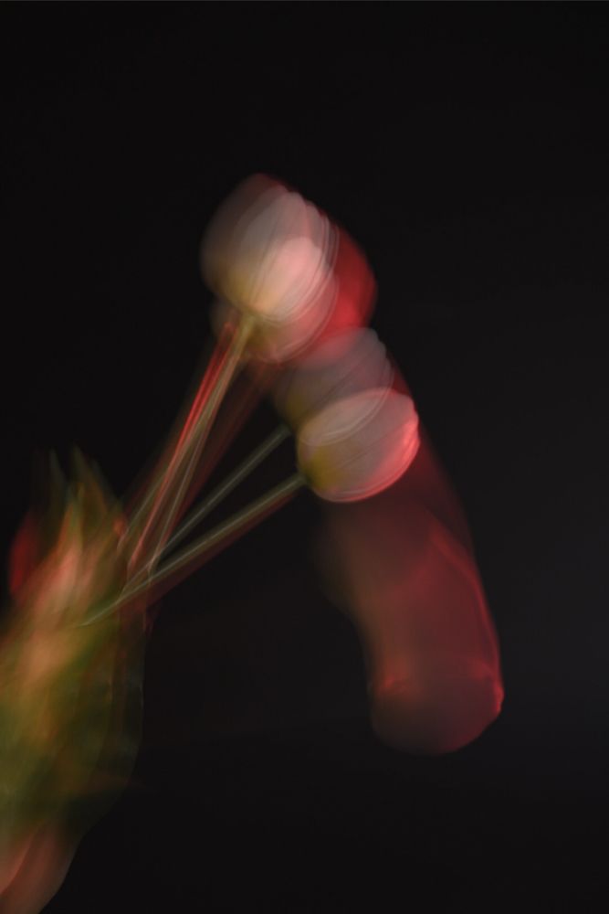 Фотография автора Olga Taran