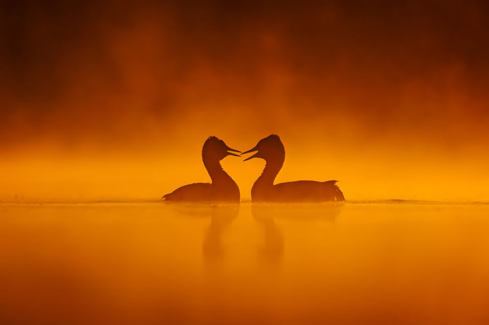 Фотография автора Patryk Kurc