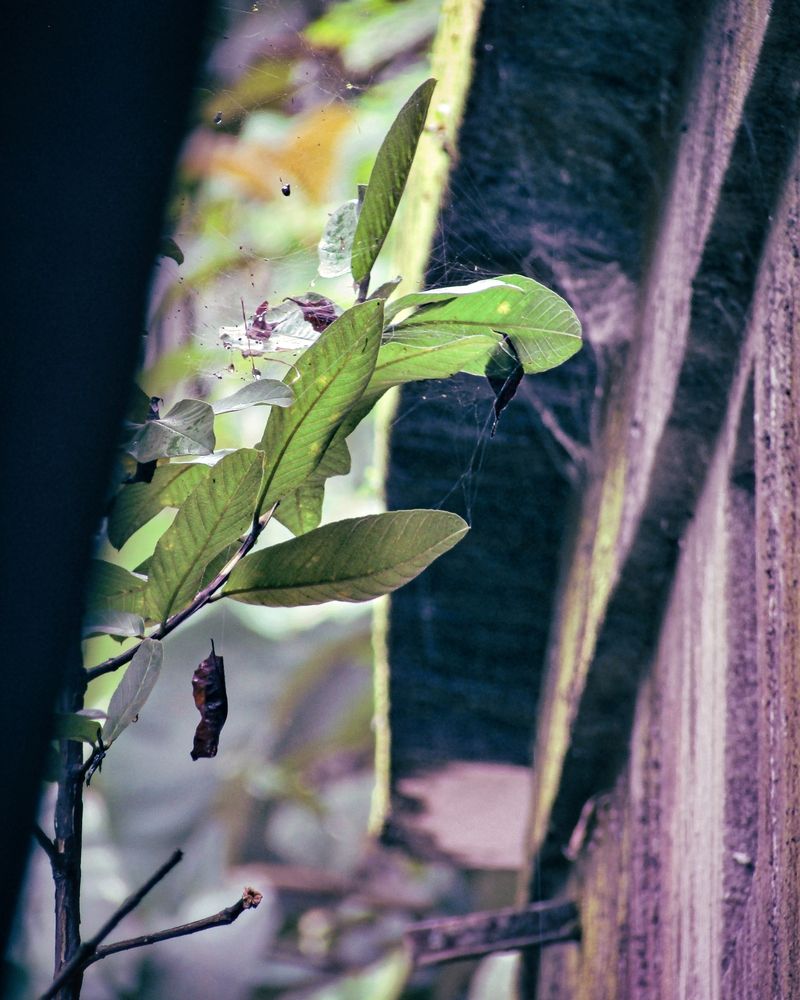 Photo #11851052