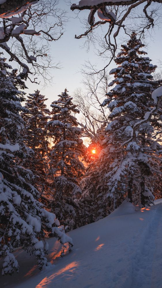 Photograph by Дмитрий Колосов