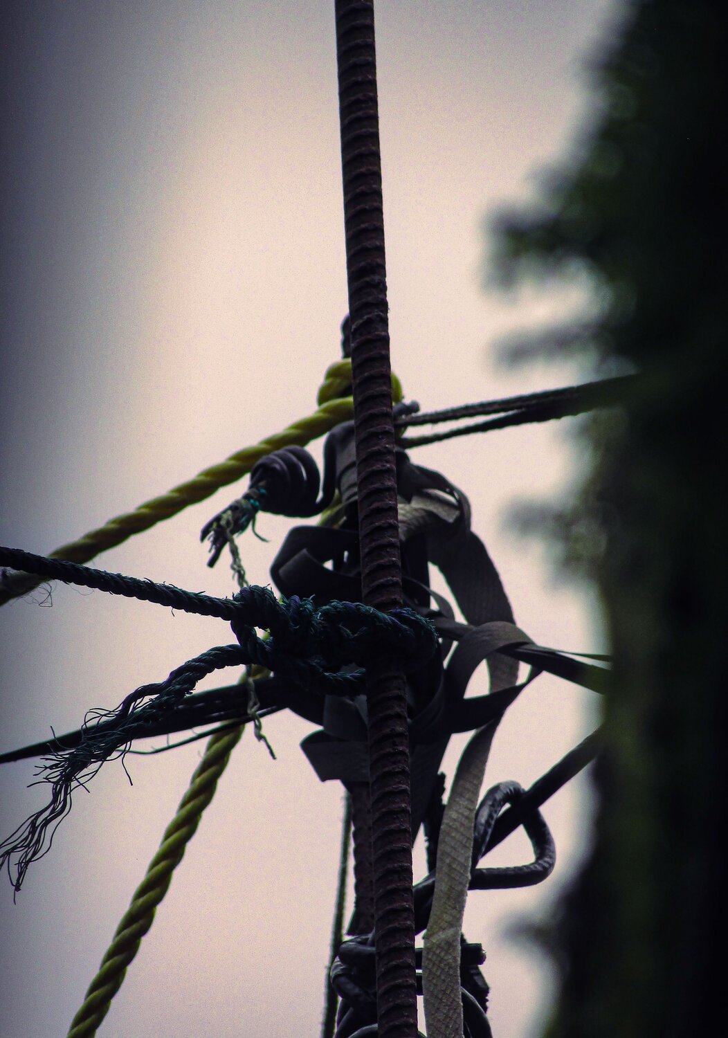 Photo #11851143