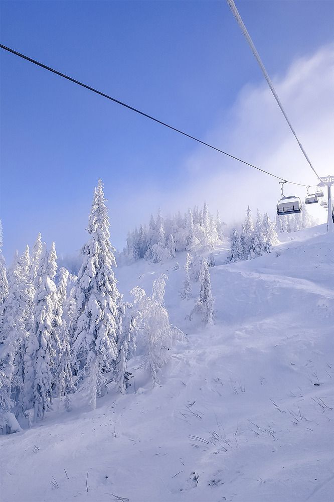 Photograph by Ирина Собова