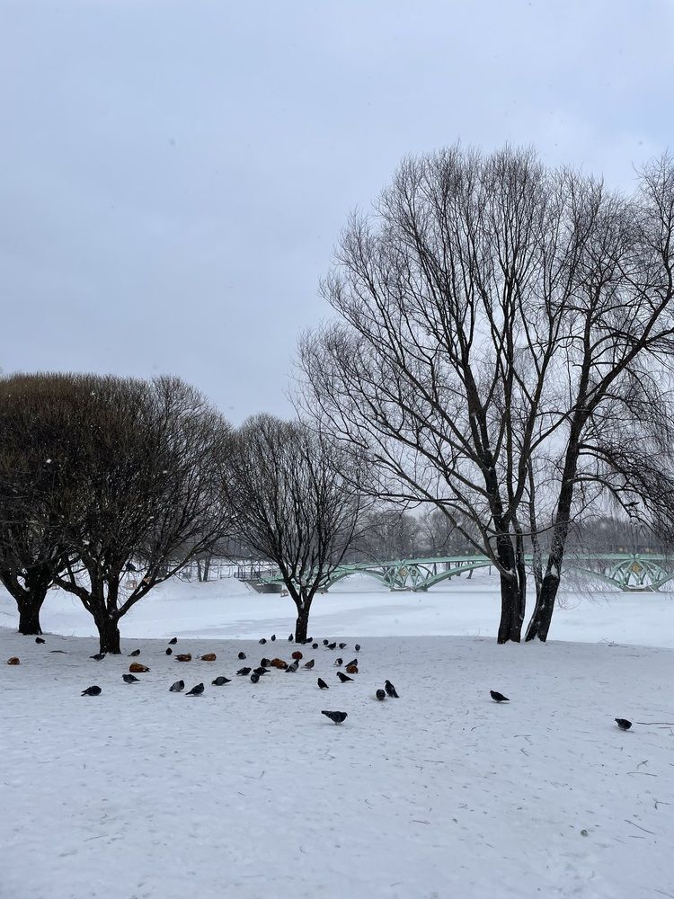 Photograph by Екатерина Мирошникова