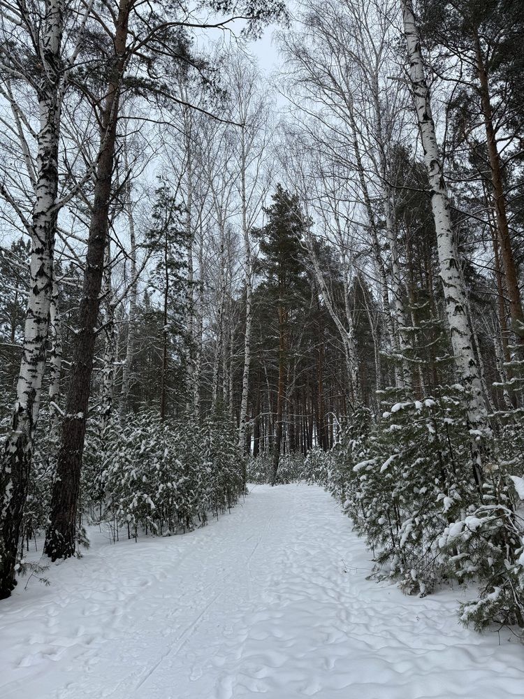 Photograph by Екатерина Мирошникова