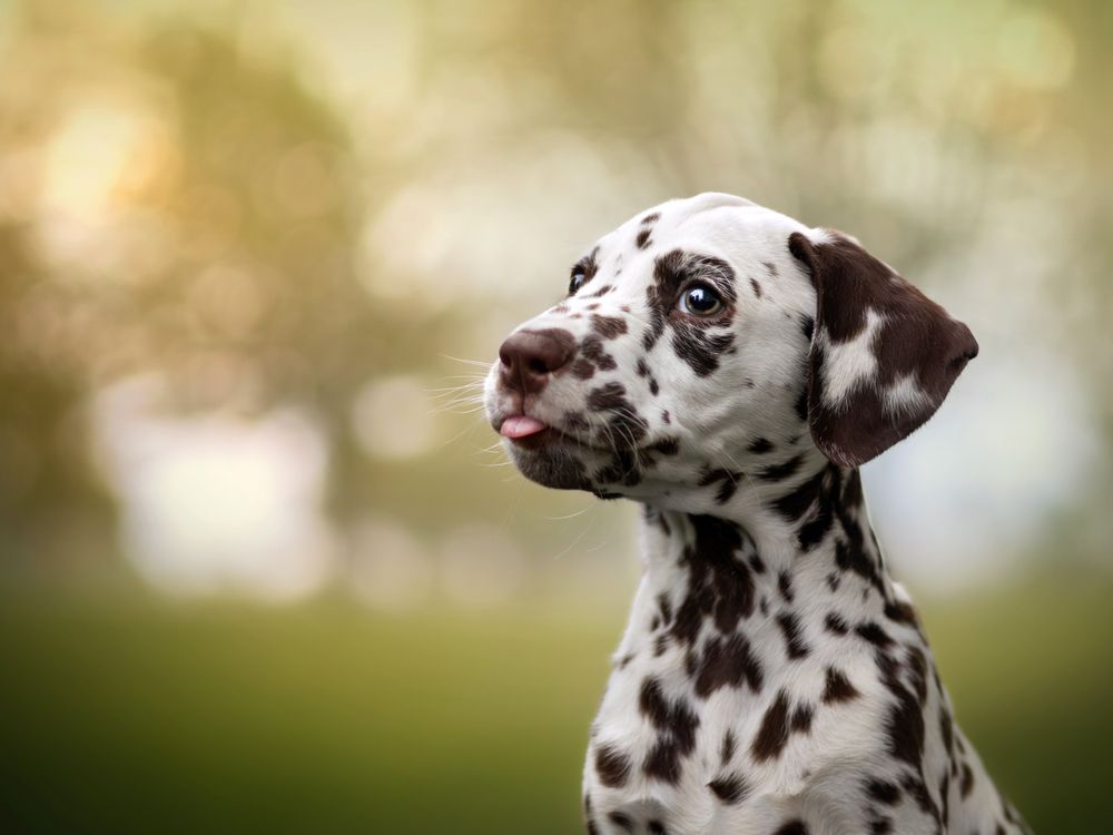 Photograph by Dorota Hnatová