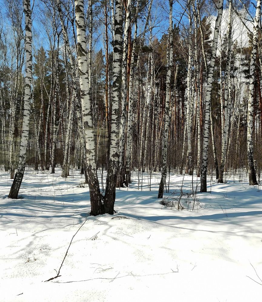 Photograph by Galust Arabyan