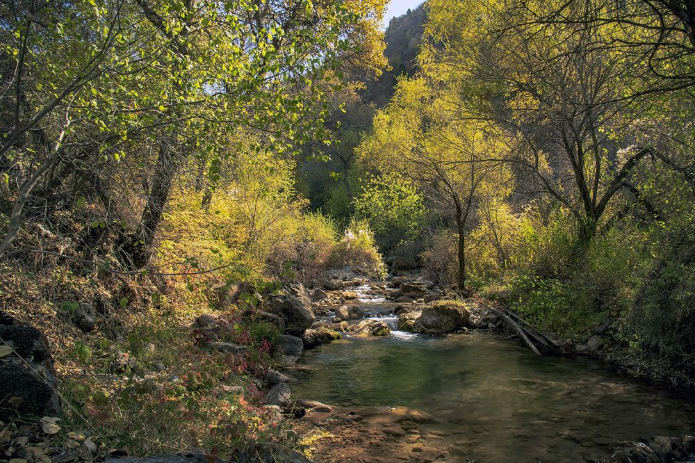 Photograph by Александр Грищенко