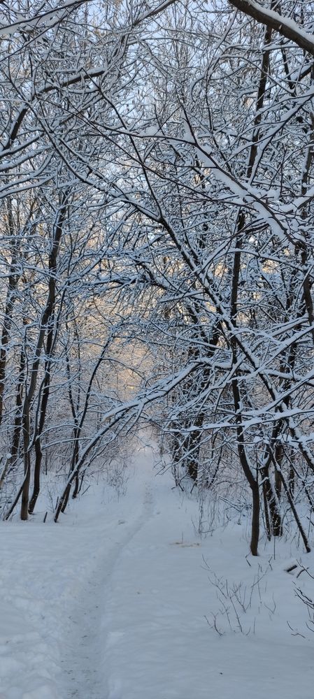 Photograph by Galust Arabyan