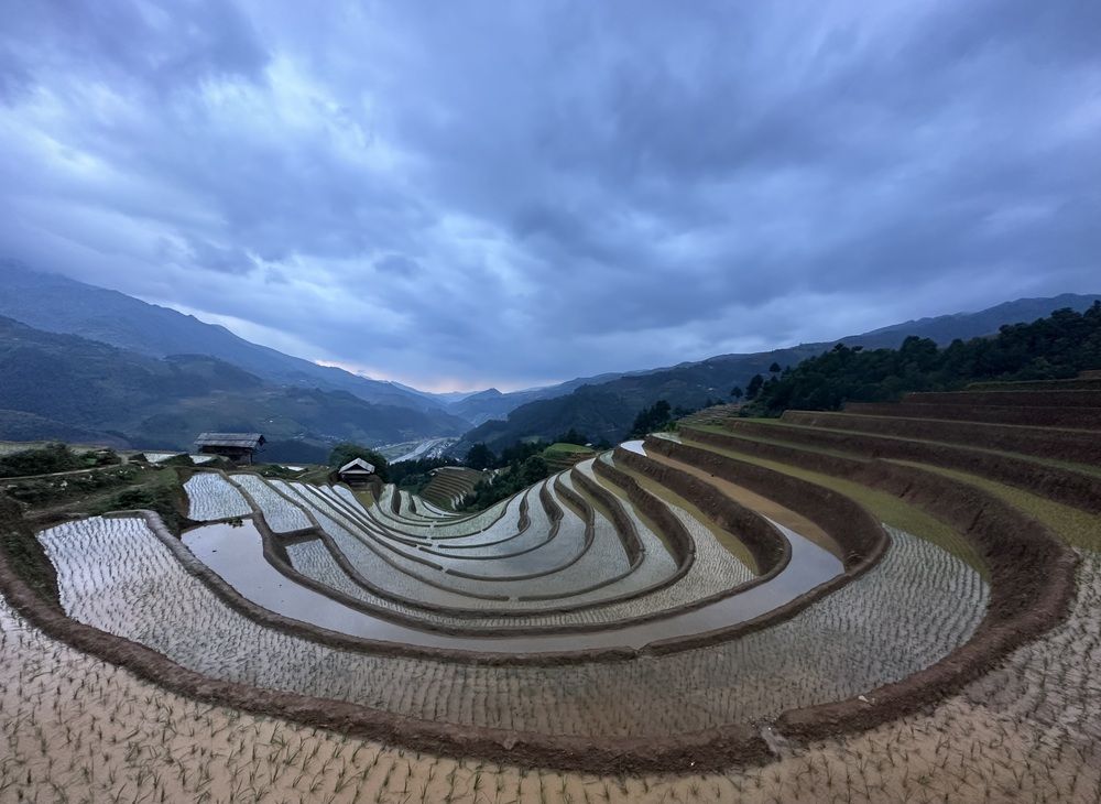 Photograph by Марина Маликова