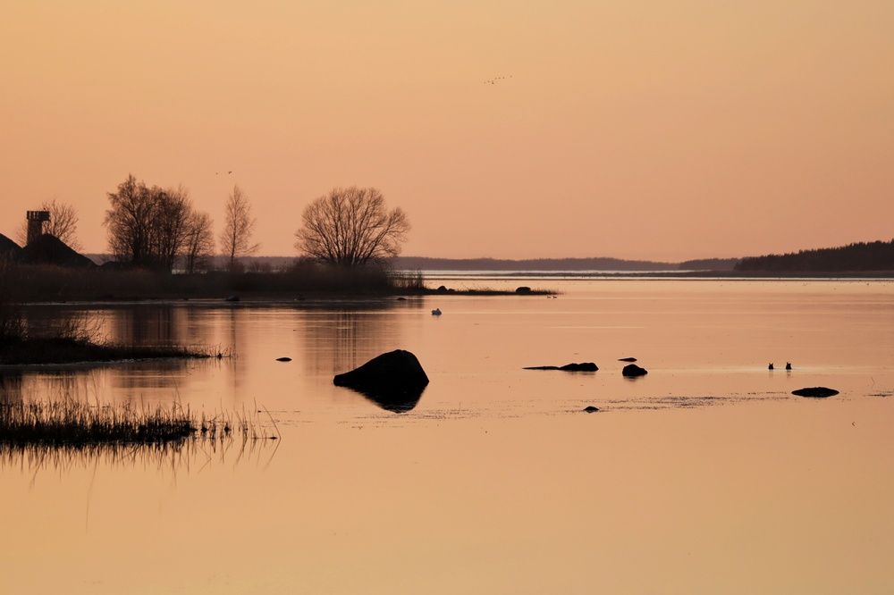 Photograph by Olga Asson