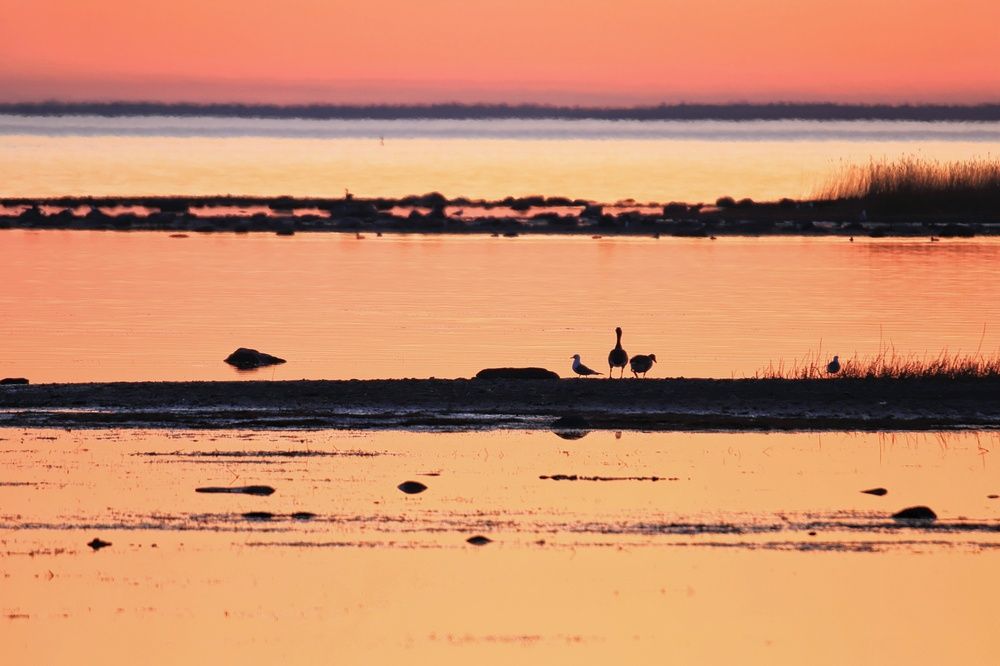 Photograph by Olga Asson